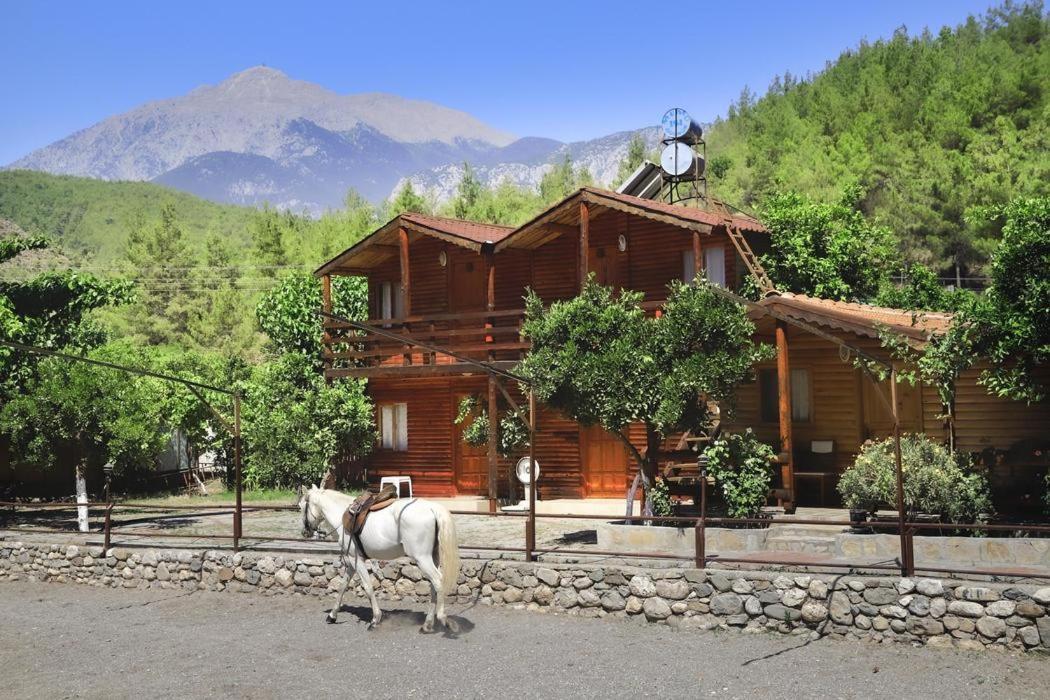 Oranj Ranch Hotel Kemer Exterior foto