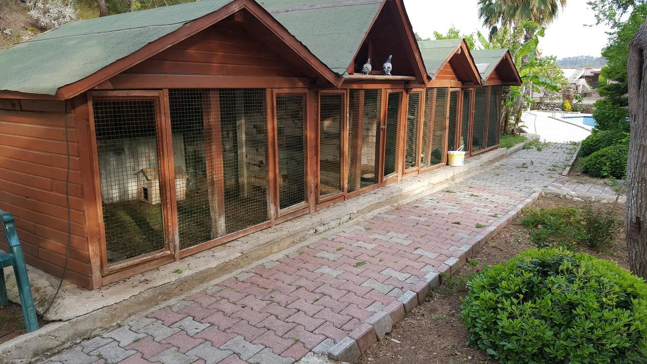 Oranj Ranch Hotel Kemer Exterior foto